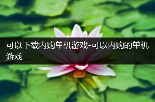 可以下载内购单机游戏-可以内购的单机游戏