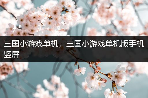 三国小游戏单机，三国小游戏单机版手机竖屏