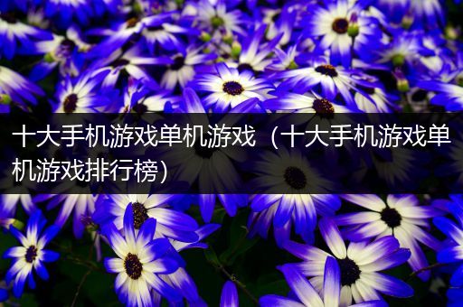 十大手机游戏单机游戏（十大手机游戏单机游戏排行榜）