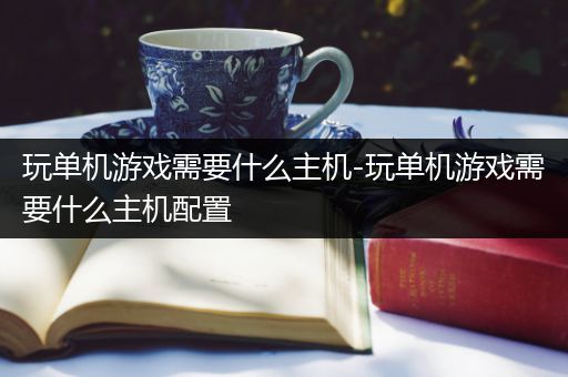 玩单机游戏需要什么主机-玩单机游戏需要什么主机配置