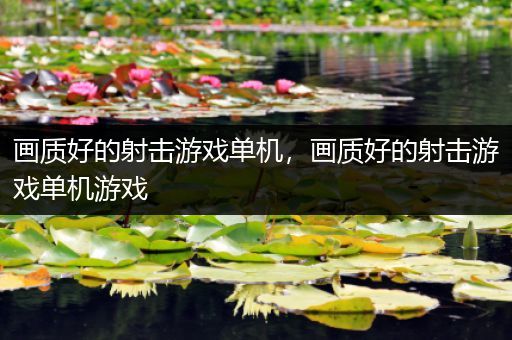 画质好的射击游戏单机，画质好的射击游戏单机游戏