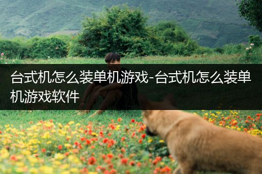台式机怎么装单机游戏-台式机怎么装单机游戏软件