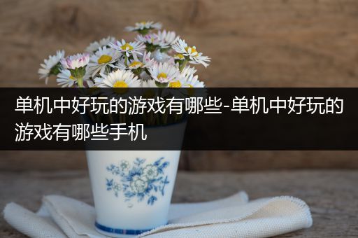 单机中好玩的游戏有哪些-单机中好玩的游戏有哪些手机