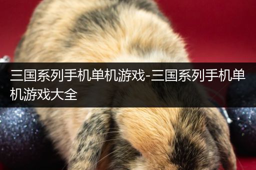 三国系列手机单机游戏-三国系列手机单机游戏大全