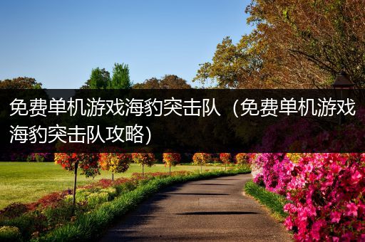 免费单机游戏海豹突击队（免费单机游戏海豹突击队攻略）