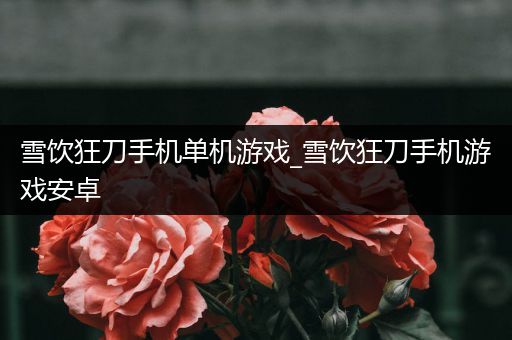 雪饮狂刀手机单机游戏_雪饮狂刀手机游戏安卓