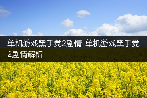 单机游戏黑手党2剧情-单机游戏黑手党2剧情解析
