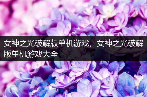 女神之光破解版单机游戏，女神之光破解版单机游戏大全