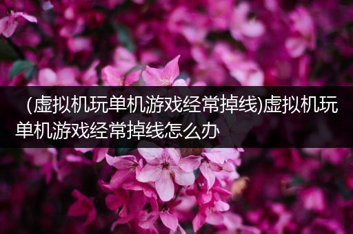 （虚拟机玩单机游戏经常掉线)虚拟机玩单机游戏经常掉线怎么办