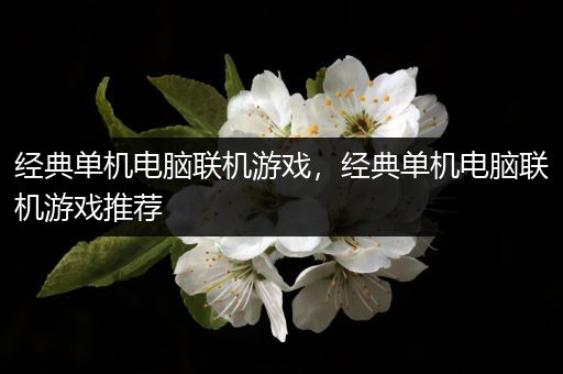 经典单机电脑联机游戏，经典单机电脑联机游戏推荐