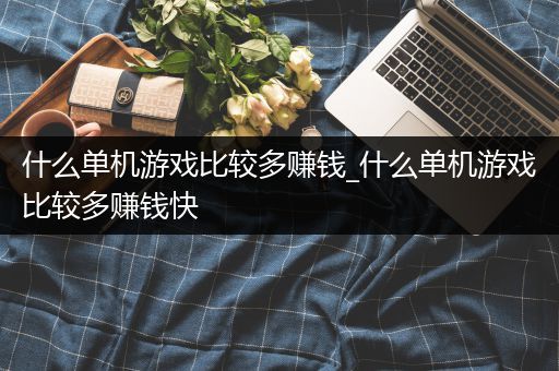 什么单机游戏比较多赚钱_什么单机游戏比较多赚钱快