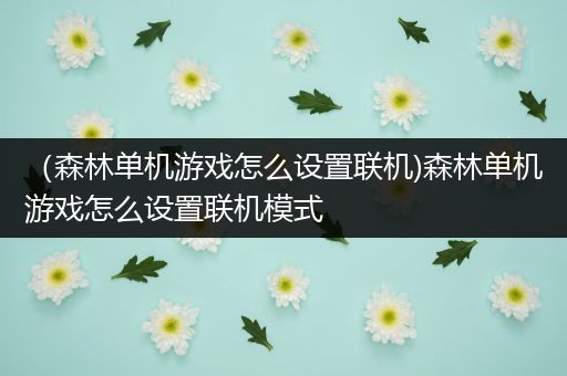 （森林单机游戏怎么设置联机)森林单机游戏怎么设置联机模式