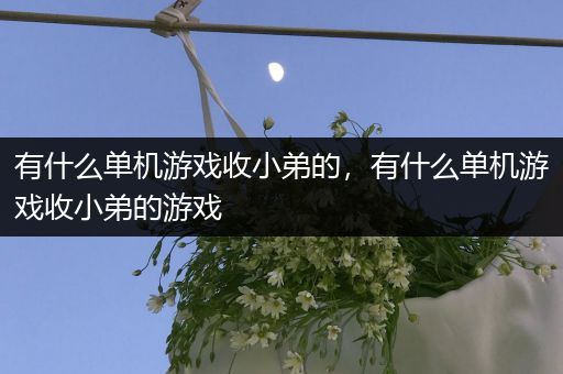 有什么单机游戏收小弟的，有什么单机游戏收小弟的游戏