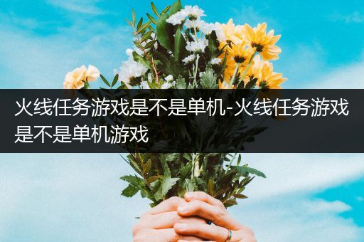 火线任务游戏是不是单机-火线任务游戏是不是单机游戏