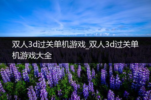 双人3d过关单机游戏_双人3d过关单机游戏大全