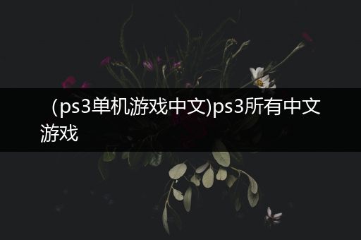 （ps3单机游戏中文)ps3所有中文游戏
