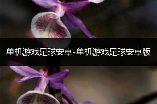 单机游戏足球安卓-单机游戏足球安卓版