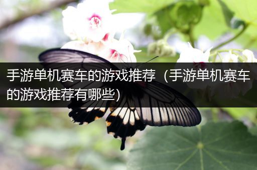 手游单机赛车的游戏推荐（手游单机赛车的游戏推荐有哪些）