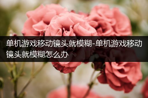 单机游戏移动镜头就模糊-单机游戏移动镜头就模糊怎么办