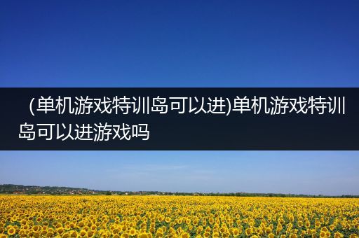 （单机游戏特训岛可以进)单机游戏特训岛可以进游戏吗