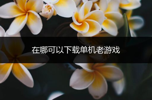 在哪可以下载单机老游戏