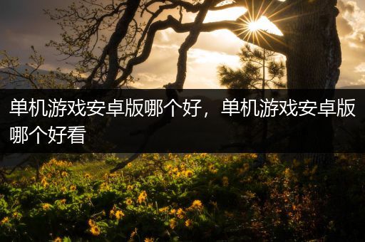 单机游戏安卓版哪个好，单机游戏安卓版哪个好看