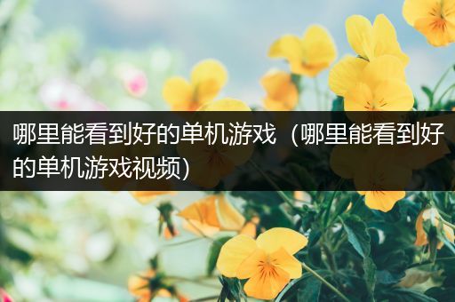哪里能看到好的单机游戏（哪里能看到好的单机游戏视频）