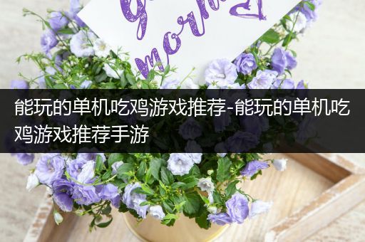 能玩的单机吃鸡游戏推荐-能玩的单机吃鸡游戏推荐手游