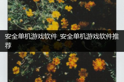 安全单机游戏软件_安全单机游戏软件推荐