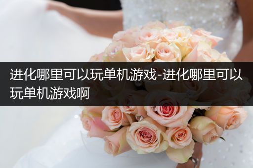 进化哪里可以玩单机游戏-进化哪里可以玩单机游戏啊