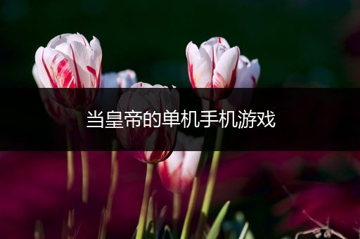 当皇帝的单机手机游戏