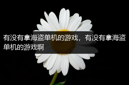 有没有拿海盗单机的游戏，有没有拿海盗单机的游戏啊