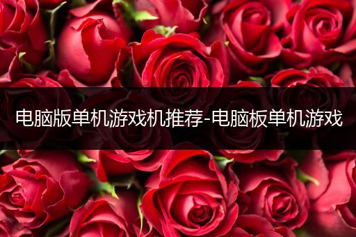 电脑版单机游戏机推荐-电脑板单机游戏