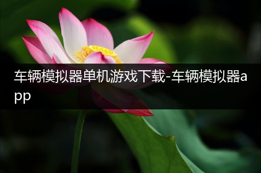 车辆模拟器单机游戏下载-车辆模拟器app
