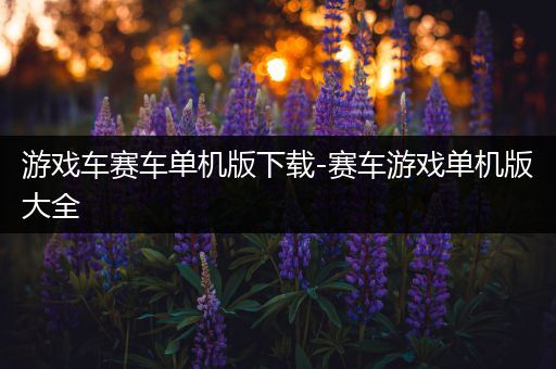 游戏车赛车单机版下载-赛车游戏单机版大全