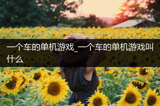 一个车的单机游戏_一个车的单机游戏叫什么