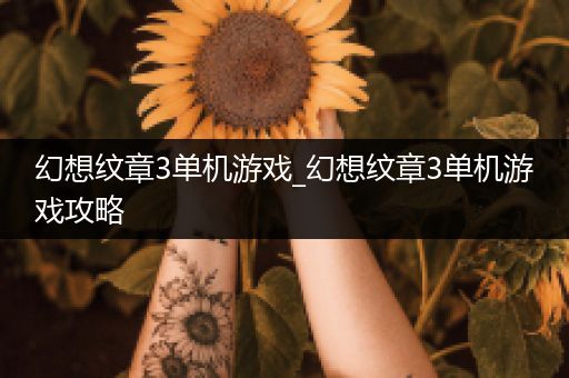幻想纹章3单机游戏_幻想纹章3单机游戏攻略