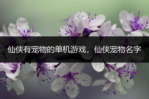 仙侠有宠物的单机游戏，仙侠宠物名字