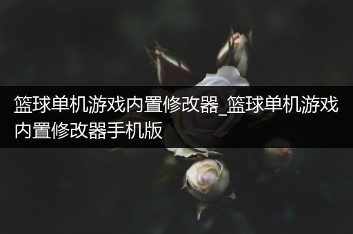篮球单机游戏内置修改器_篮球单机游戏内置修改器手机版