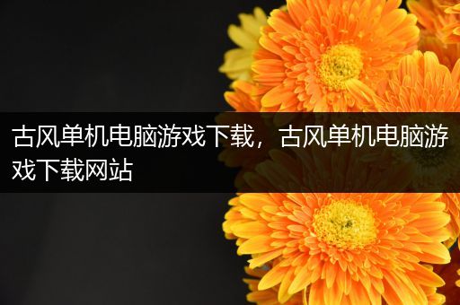 古风单机电脑游戏下载，古风单机电脑游戏下载网站