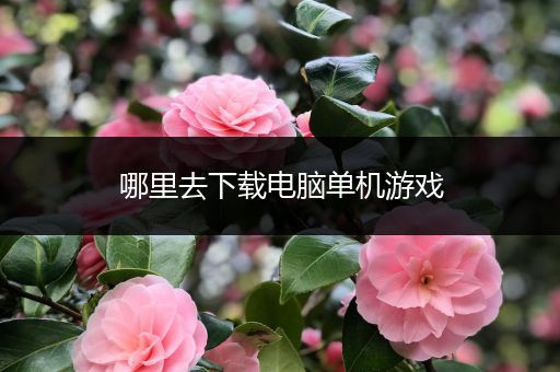 哪里去下载电脑单机游戏