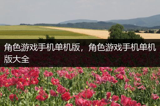 角色游戏手机单机版，角色游戏手机单机版大全