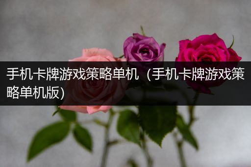 手机卡牌游戏策略单机（手机卡牌游戏策略单机版）
