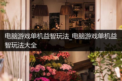 电脑游戏单机益智玩法_电脑游戏单机益智玩法大全