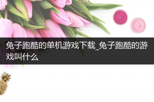 兔子跑酷的单机游戏下载_兔子跑酷的游戏叫什么
