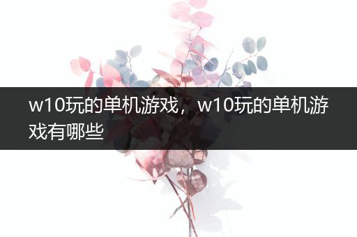 w10玩的单机游戏，w10玩的单机游戏有哪些