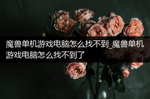 魔兽单机游戏电脑怎么找不到_魔兽单机游戏电脑怎么找不到了