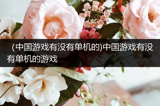 （中国游戏有没有单机的)中国游戏有没有单机的游戏