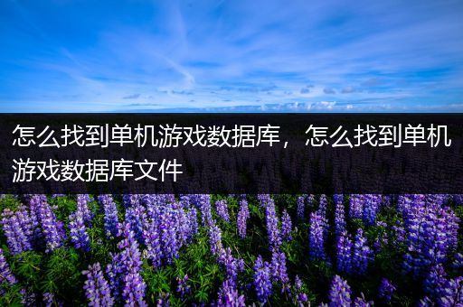 怎么找到单机游戏数据库，怎么找到单机游戏数据库文件