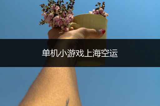 单机小游戏上海空运